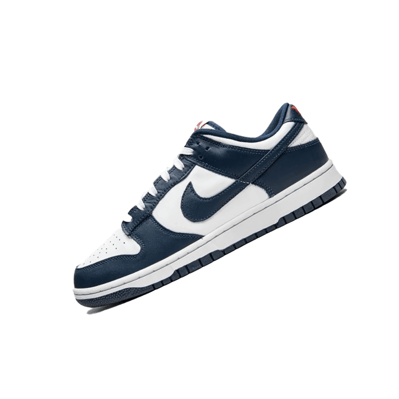 Nike Dunk Low Retro footwear